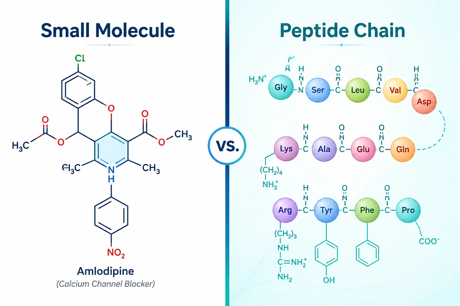 Bright editorial split-screen infographic landscape (): left half shows a clean white-background molecular diagram of a
