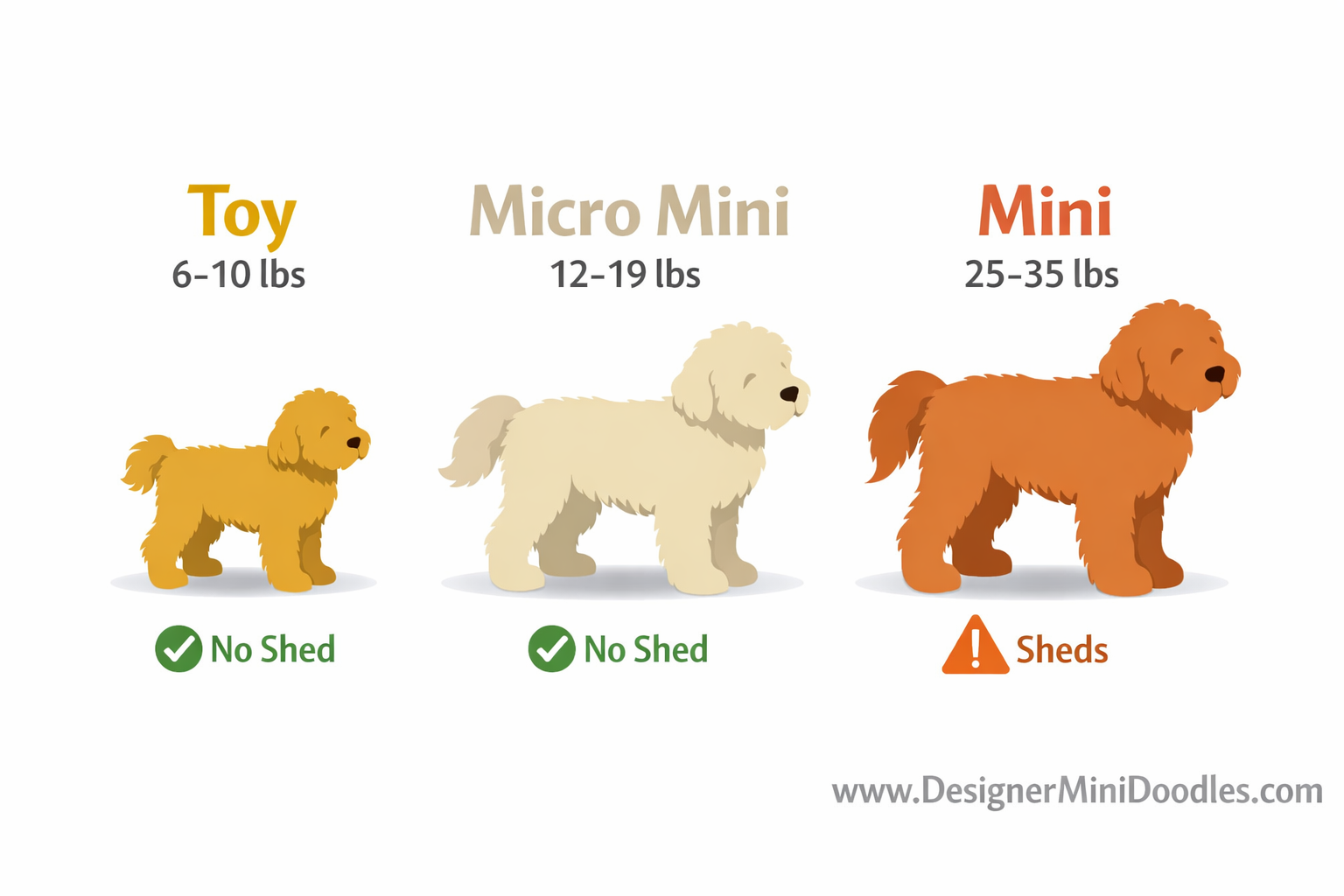 () infographic-style image showing a side-by-side size comparison chart of three goldendoodle sizes: Toy (6-10 lbs), Micro