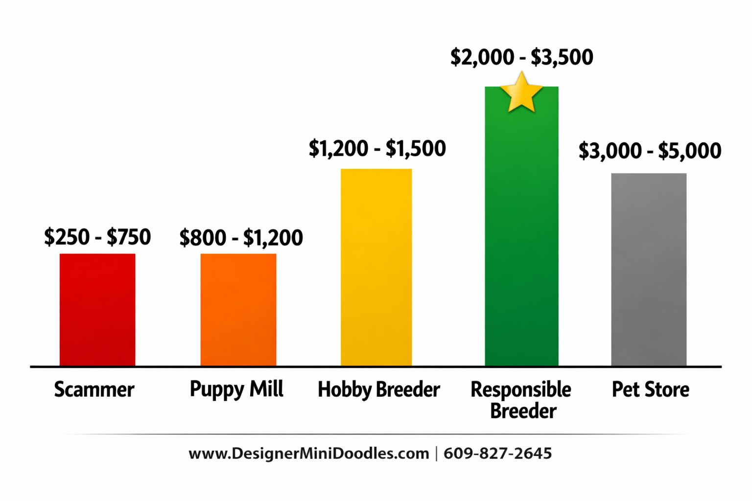 () price comparison bar chart infographic with five price tiers displayed as vertical bars: Scammer $250-$750 (red), Puppy