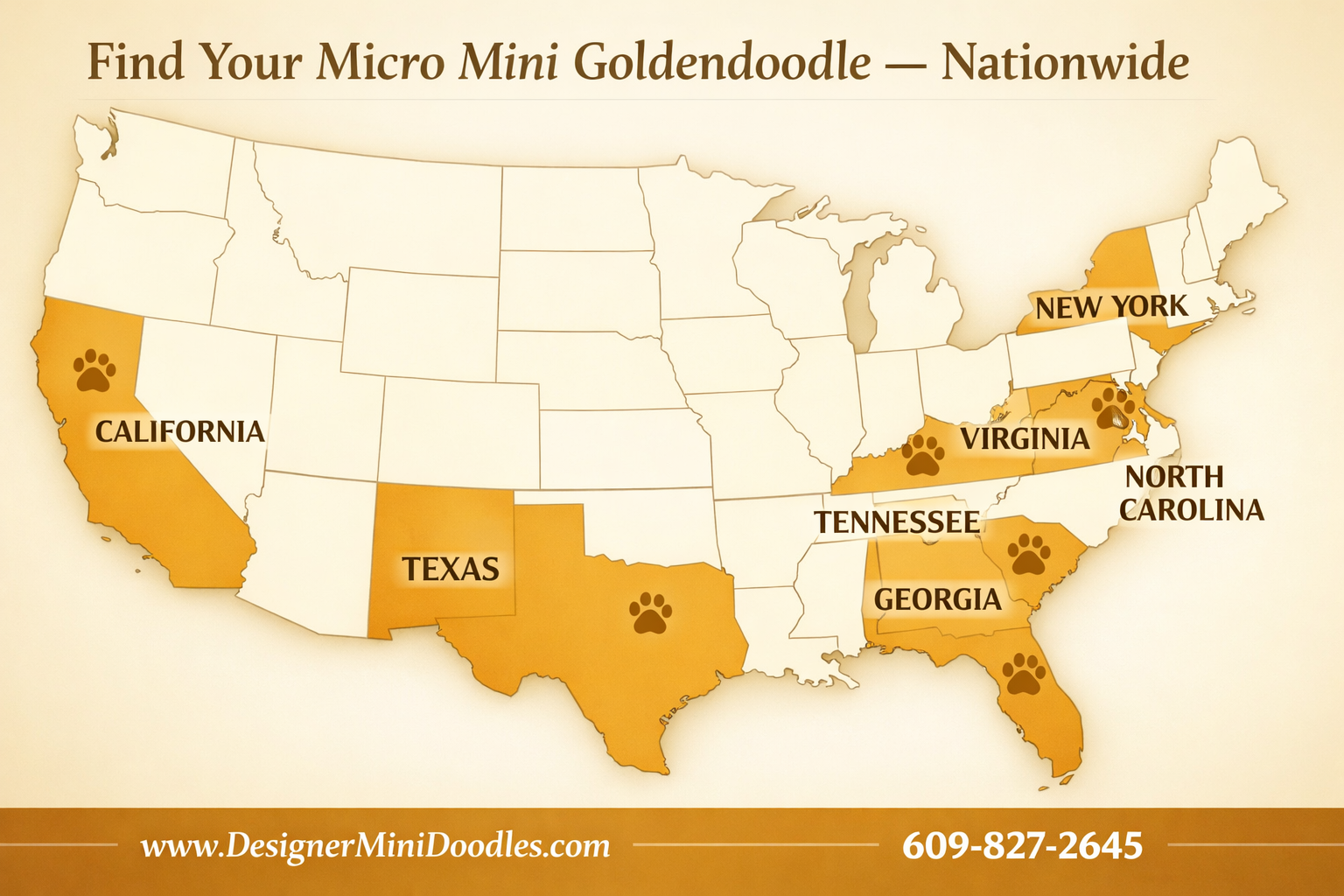 () showing a US map with highlighted states including Florida, Texas, California, New York, Georgia, North Carolina,