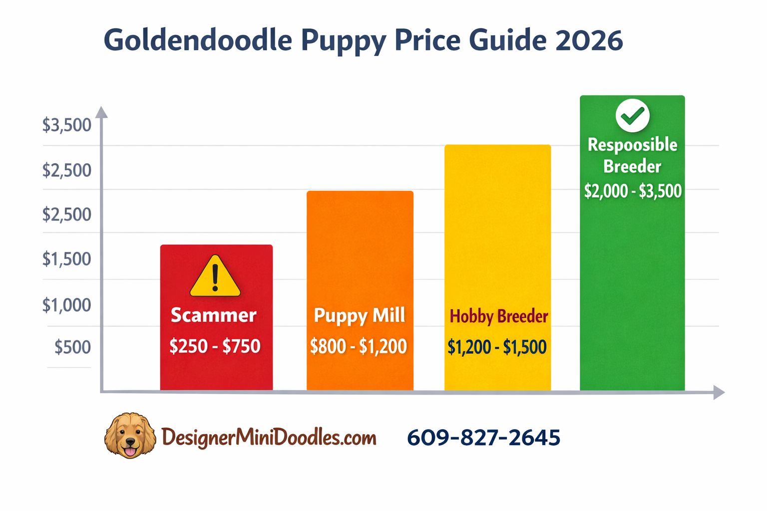 Detailed () bar graph infographic comparing goldendoodle puppy pricing tiers. Four vertical bars in ascending order: red bar