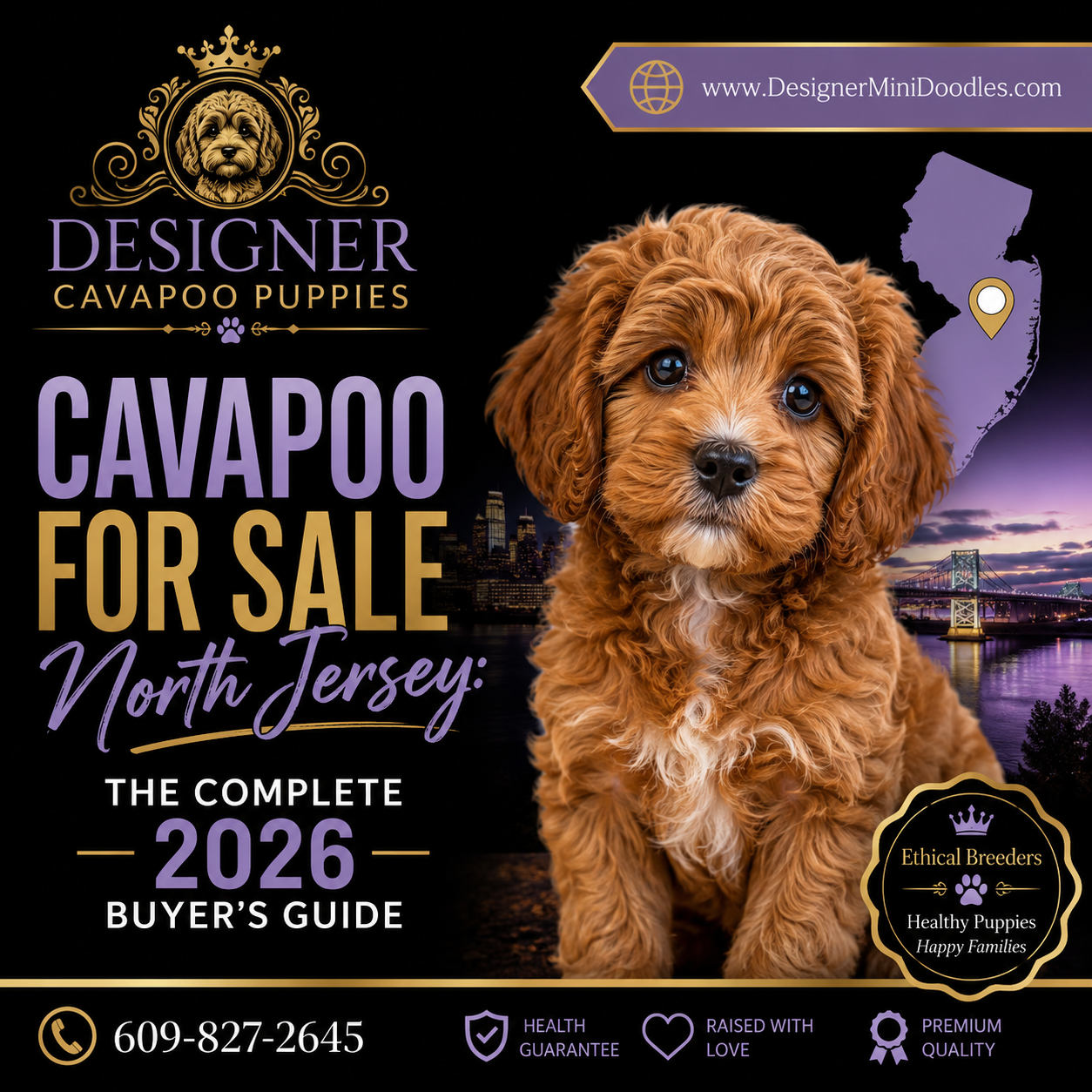 Cavapoo for sale North Jersey
