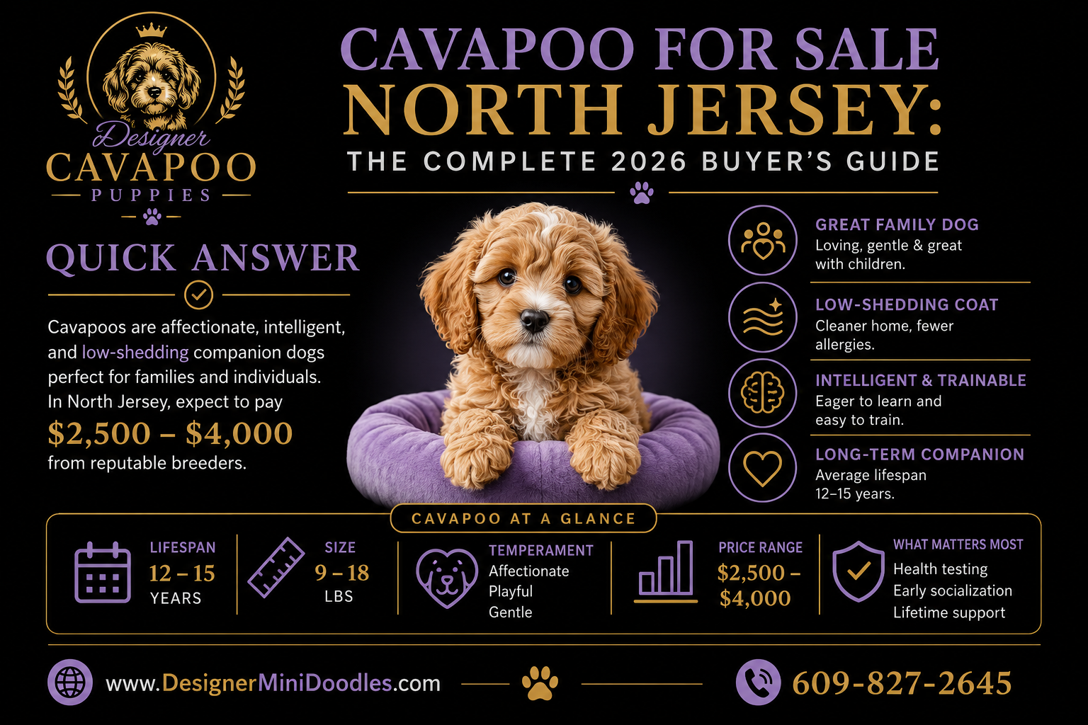 Where Can I Find Reputable Cavapoo Breeders Near Me in North Jersey?