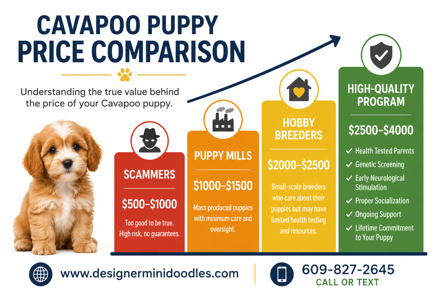 Cavapoo price chart