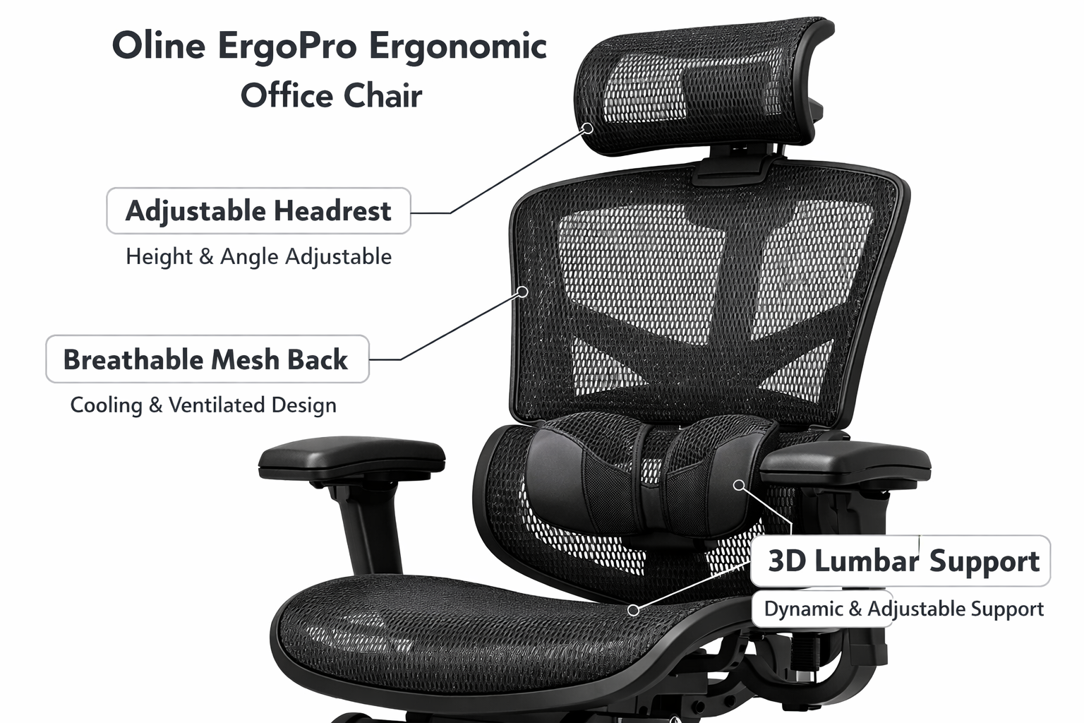 Detailed showcase of the Oline ErgoPro Ergonomic Office Chair highlighting its 3D lumbar support system, breathable mesh back panel, and adjustable headrest — close-up product photography with labeled callouts on a clean white studio background