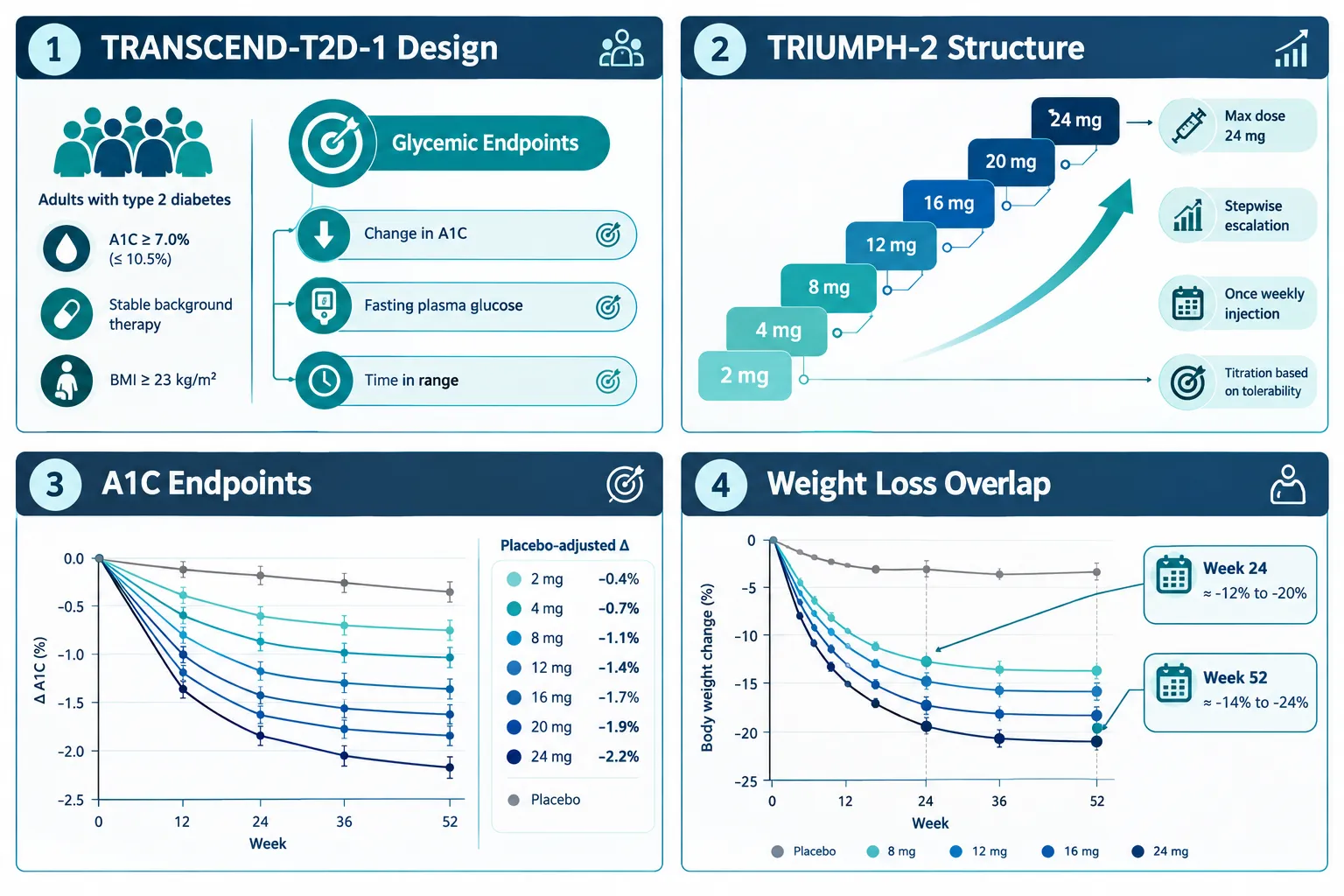 Understanding the Phase 3 Trial Architecture