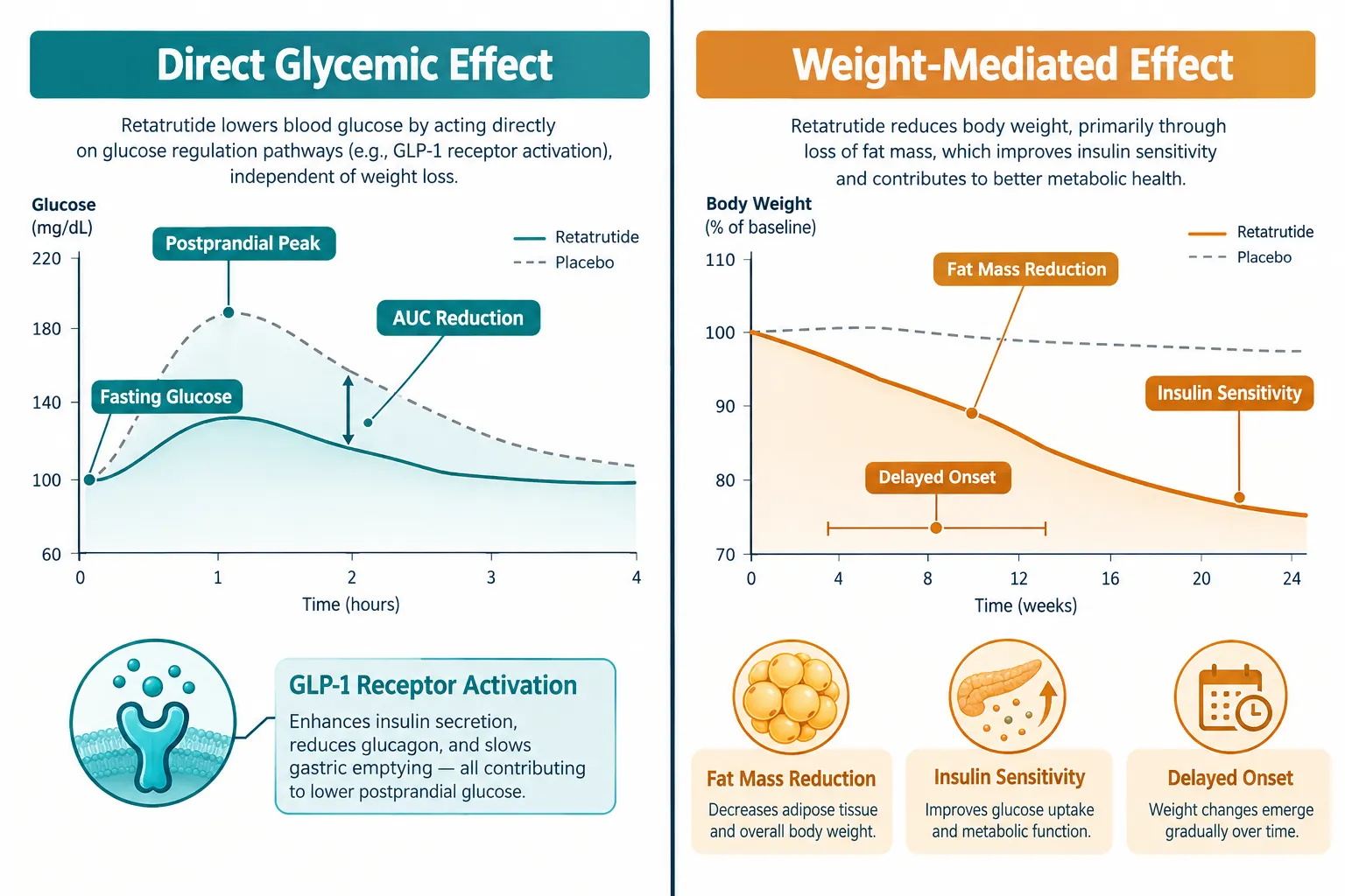 Separating Glycemic Effects from Weight-Mediated Effects in Retatrutide Phase 3 Diabetes Data