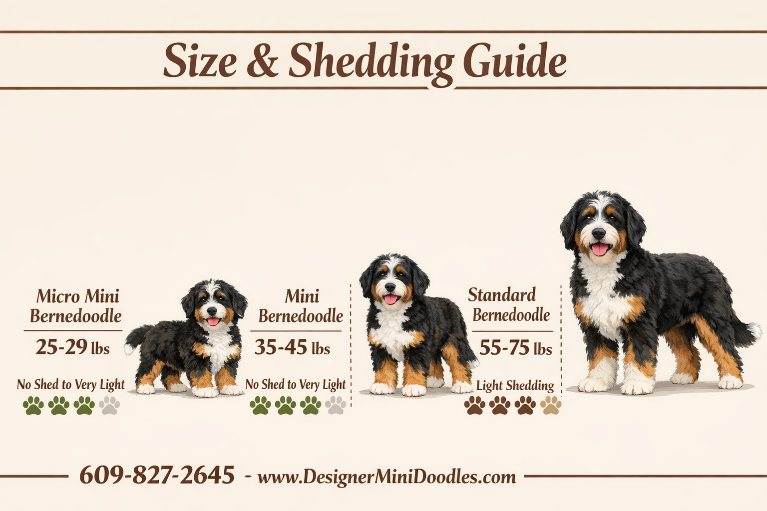do miniature bernese mountain dogs shed?