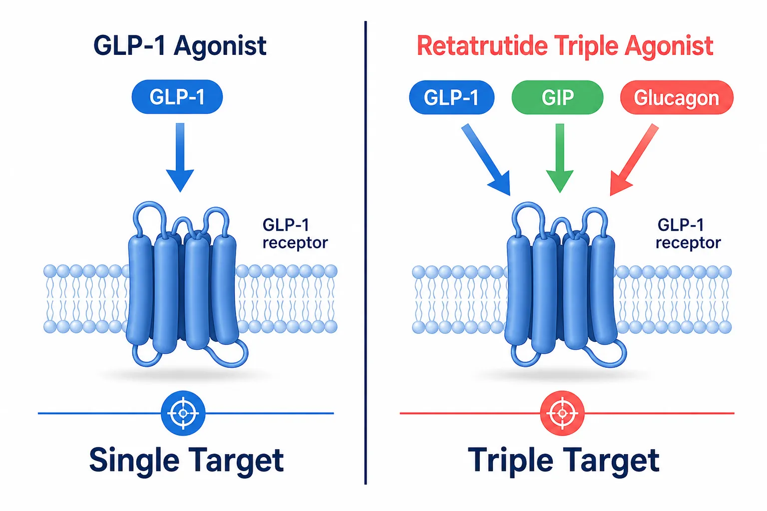 Retatrutide and the Polypeptide Frontier in Cardiometabolic Disease