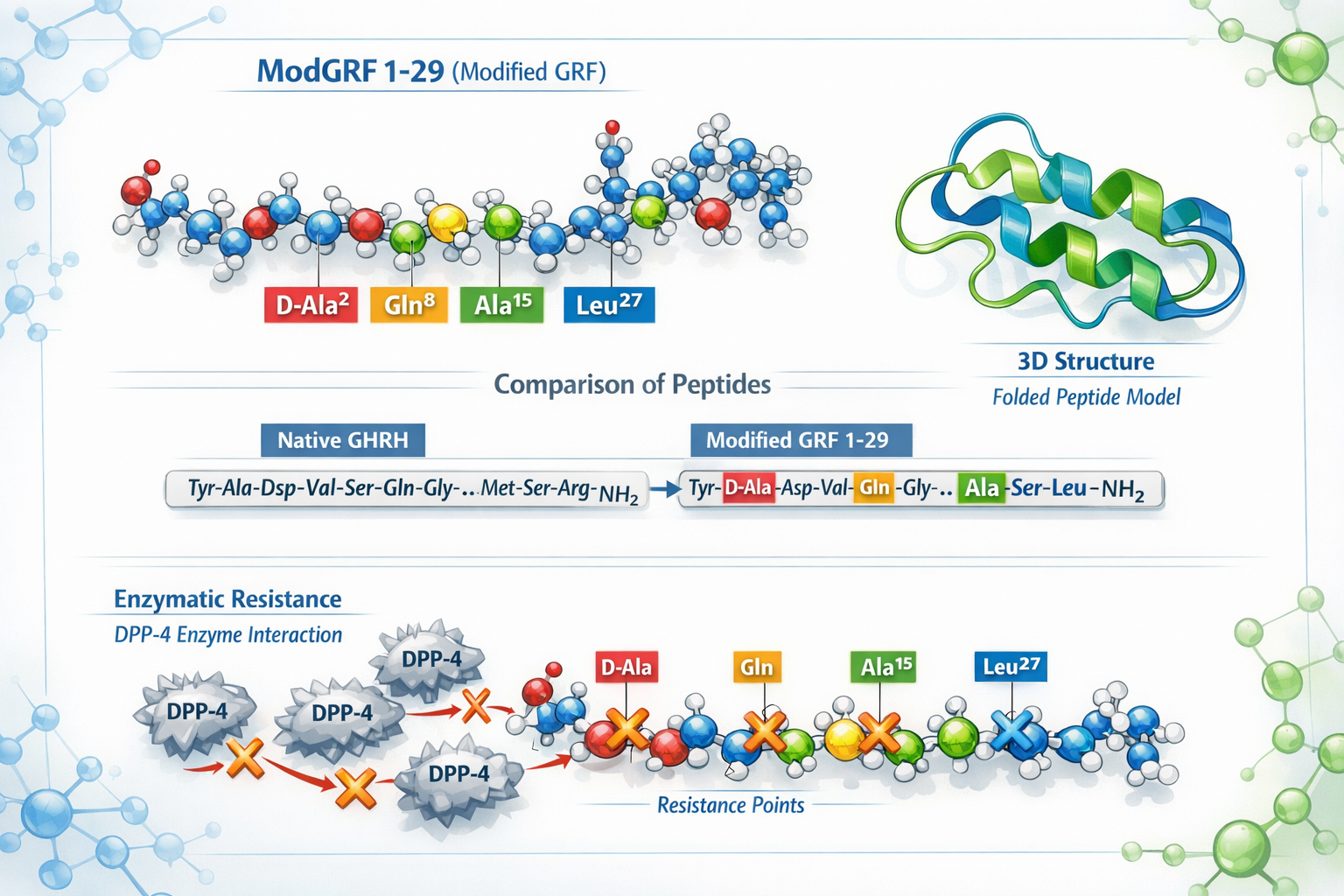 Detailed scientific illustration showing ModGRF molecular structure with labeled amino acid substitutions (D-Ala2, Gln8, Ala15, Leu27) highl