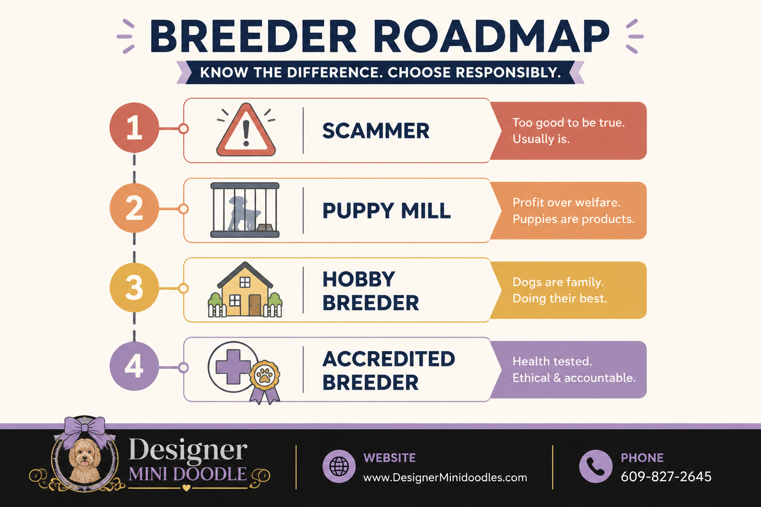 How Much Does a Micro Goldendoodle Cost From Alabama Breeders