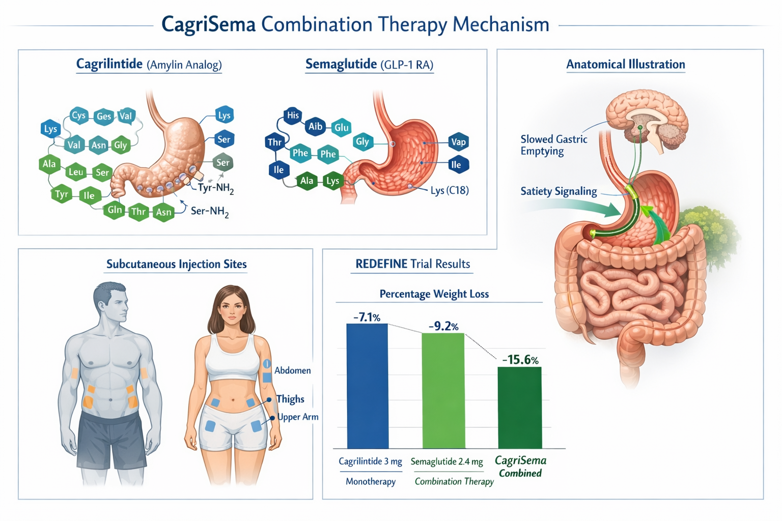 Clinical research visualization (1536x1024) displaying CagriSema combination therapy mechanism, side-by-side molecular structures of cagrili