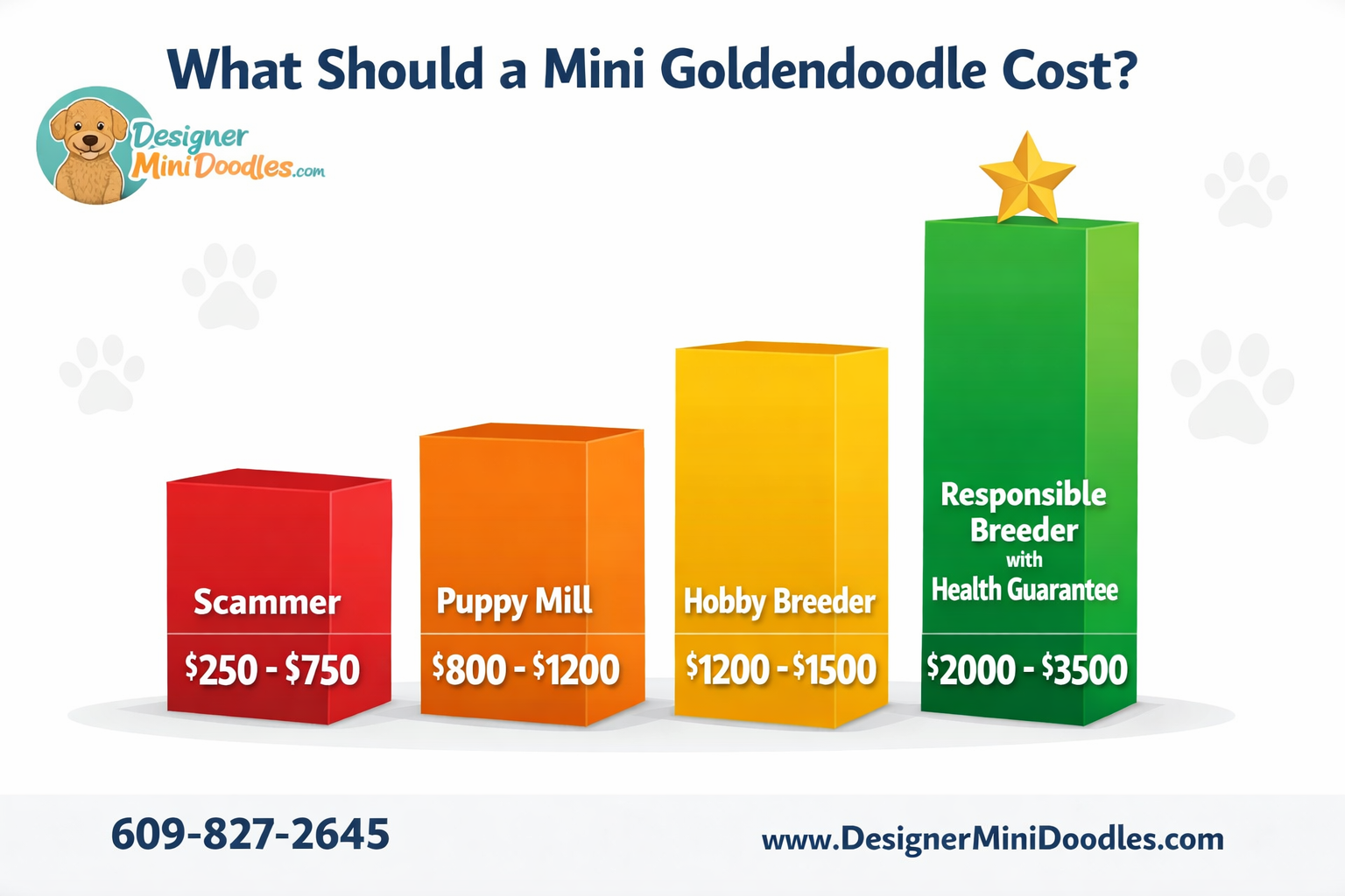 () colorful bar chart infographic comparing goldendoodle puppy price points across four categories. Left to right: Scammer