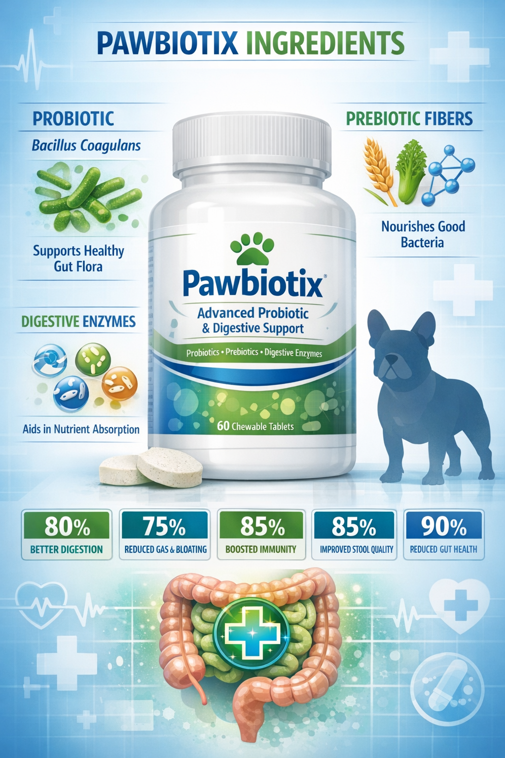 Portrait format (1024x1536) infographic showing Pawbiotix supplement bottle with ingredient breakdown, probiotic strain icons (Bacillus coag