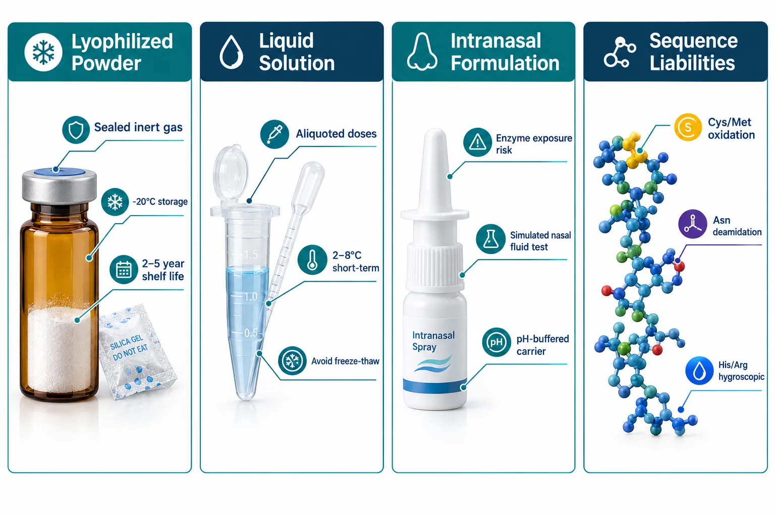 Understanding Why Peptide Formulation Type Determines Storage Strategy