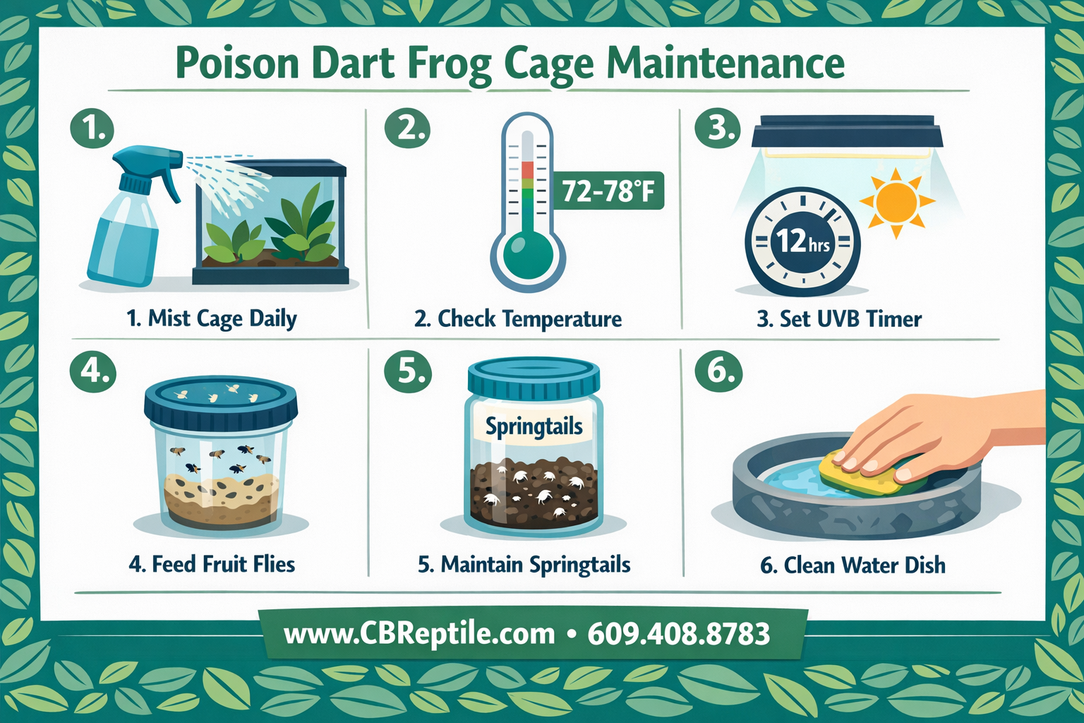 () step-by-step visual checklist showing poison dart frog cage maintenance tasks: illustrated icons for misting schedule,