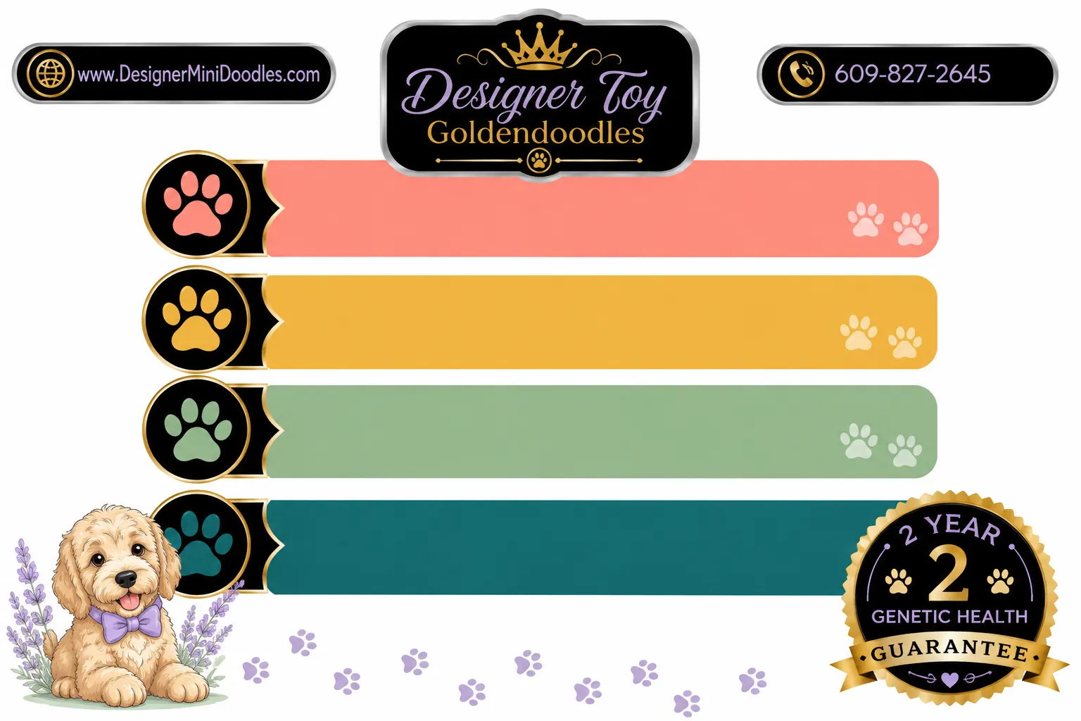Toy Goldendoodle Grooming Requirements and Costs