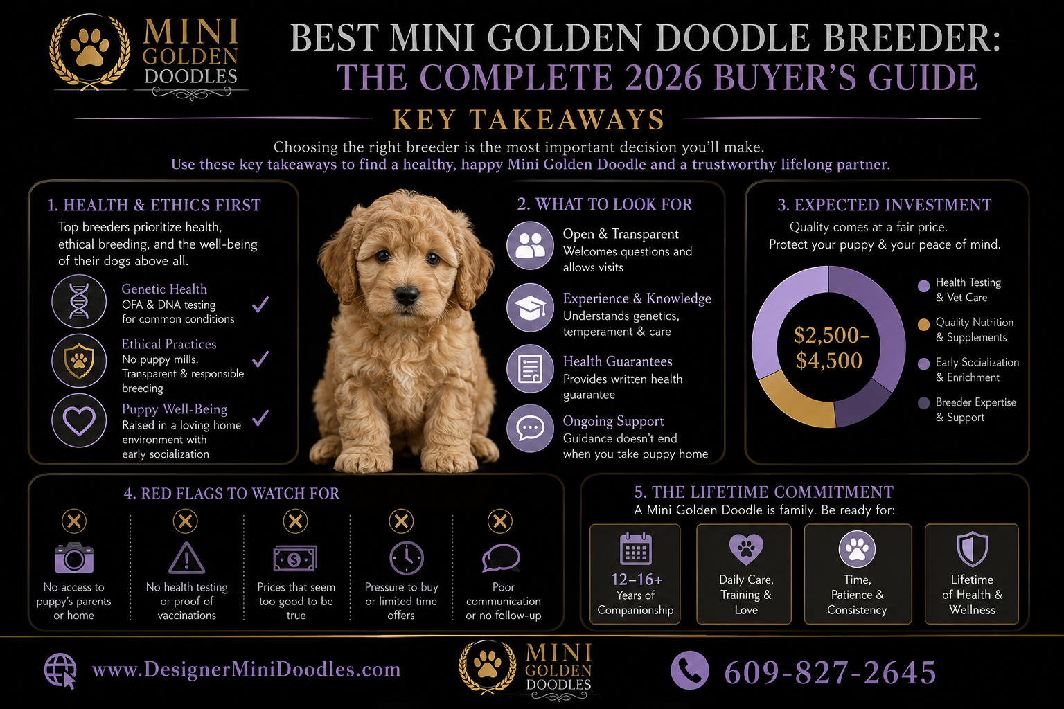Mini Goldendoodle Breeder Health Testing Requirements
