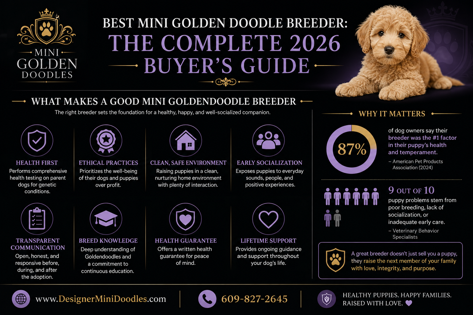 Best mini golden doodle breeder
