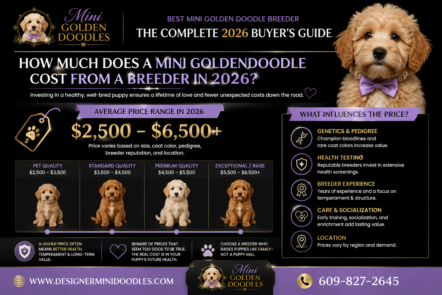 Best mini golden doodle breeder