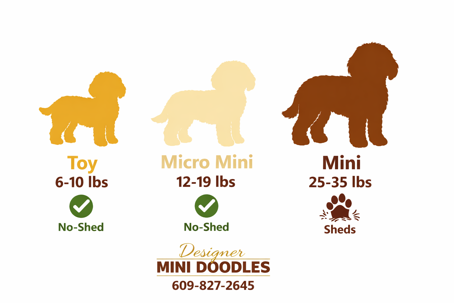 () infographic-style image showing three goldendoodle size silhouettes side by side labeled Toy 6-10 lbs, Micro Mini 12-19