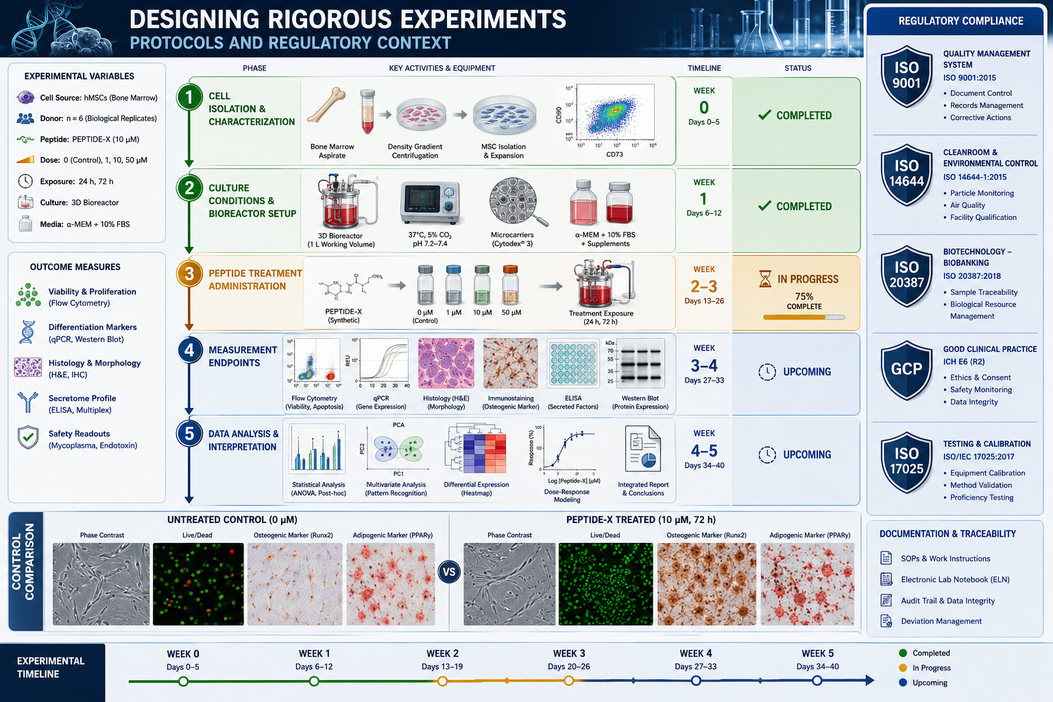 Translational Gaps and What Current Evidence Actually Supports