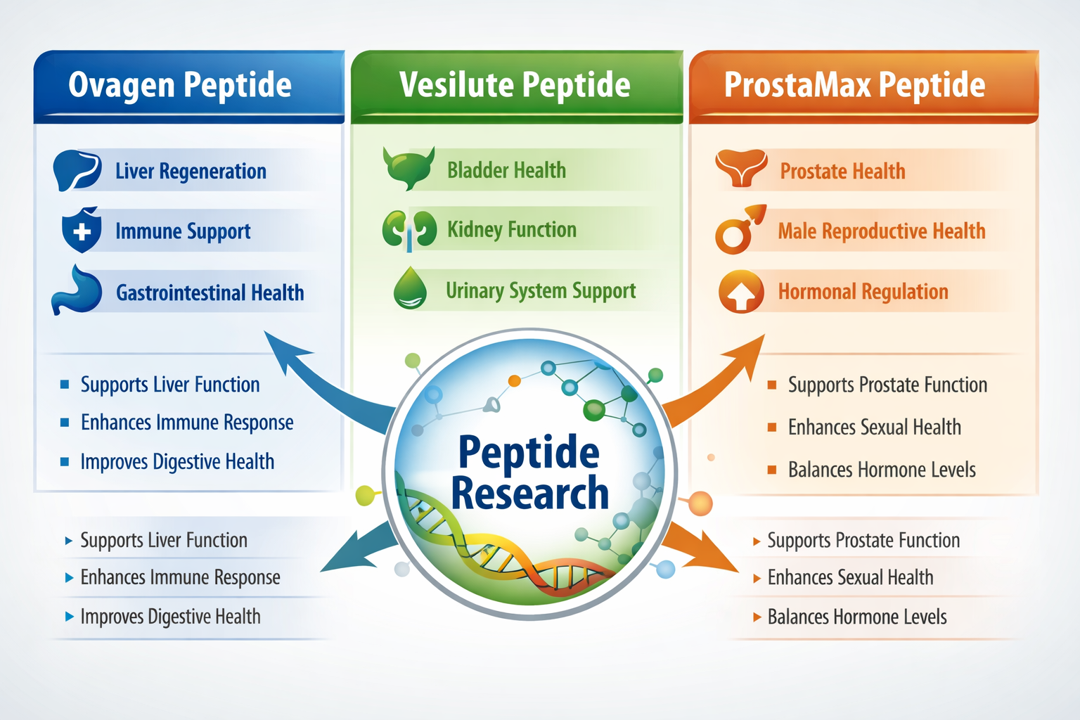 An infographic comparing the research applications and potential benefits of ovagen peptide with other prominent bioregulator peptides such 