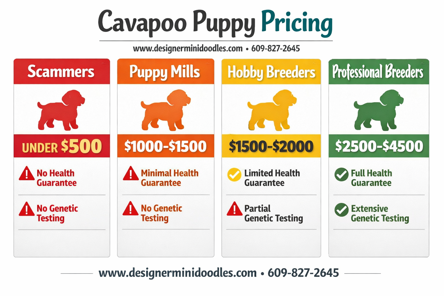 Cavapoo puppy pricing
