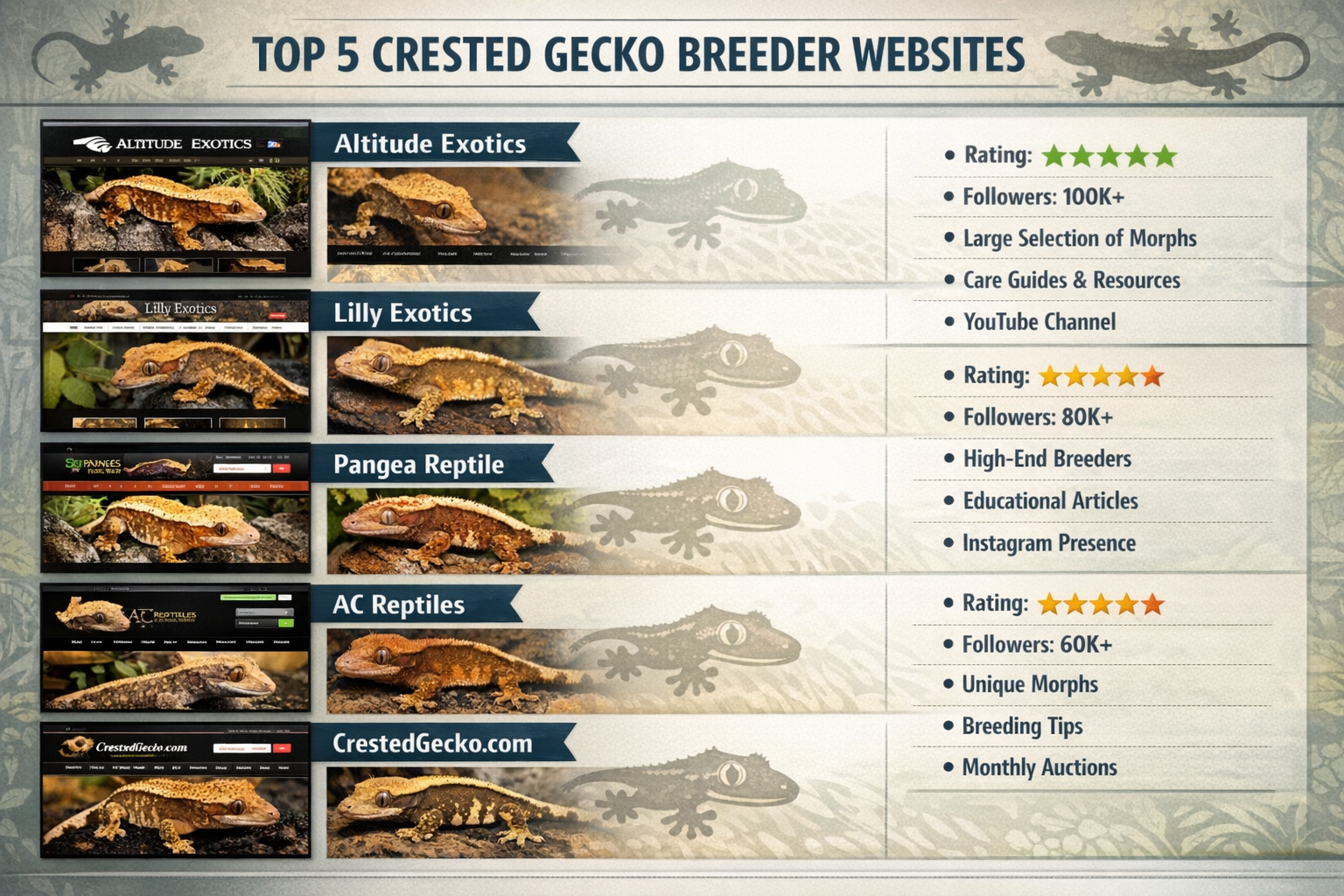Landscape format (1536x1024) detailed comparison chart showing top 5 crested gecko breeder websites with screenshots, star ratings, follower