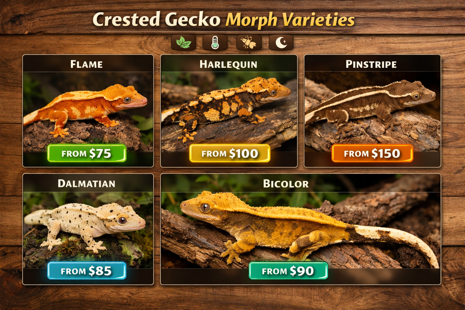 Landscape format (1536x1024) comprehensive visual guide showing crested gecko morph varieties with price ranges starting at $75. Grid layout