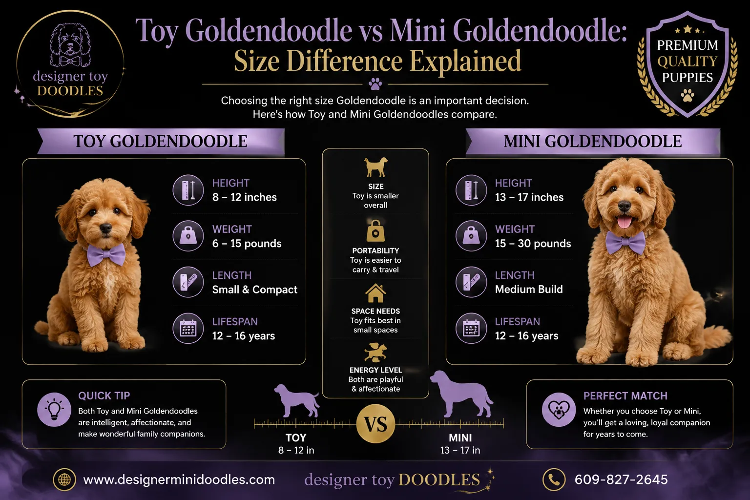 Toy Goldendoodle Puppies for Sale in Alabama
