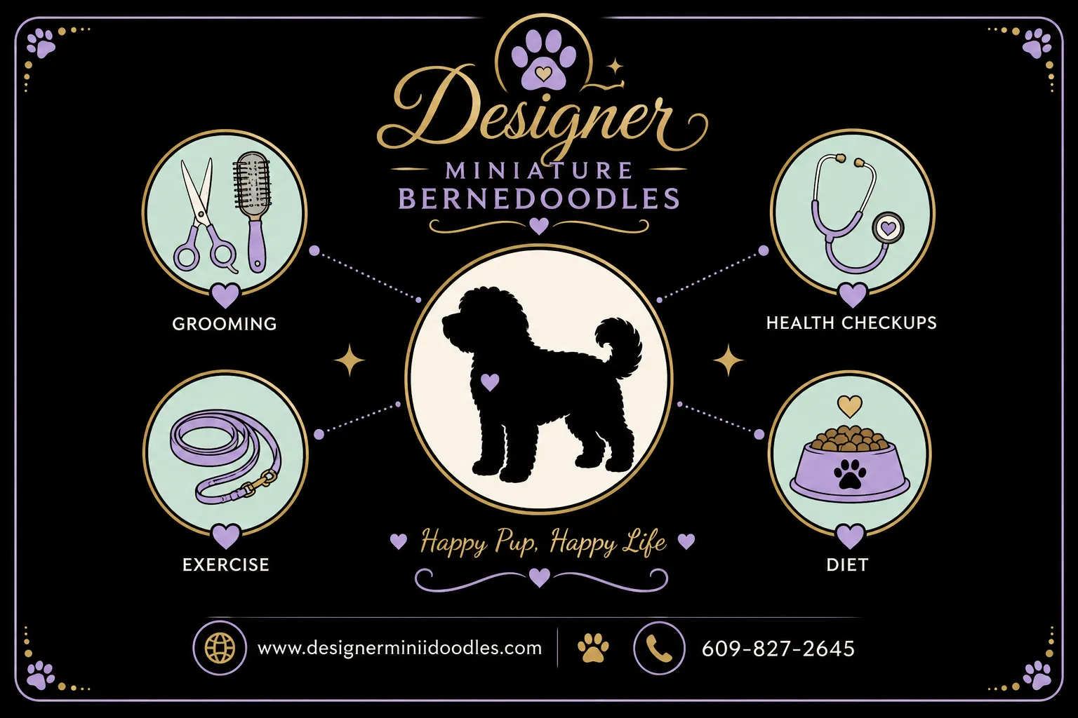 reputable miniature bernedoodle breeders
