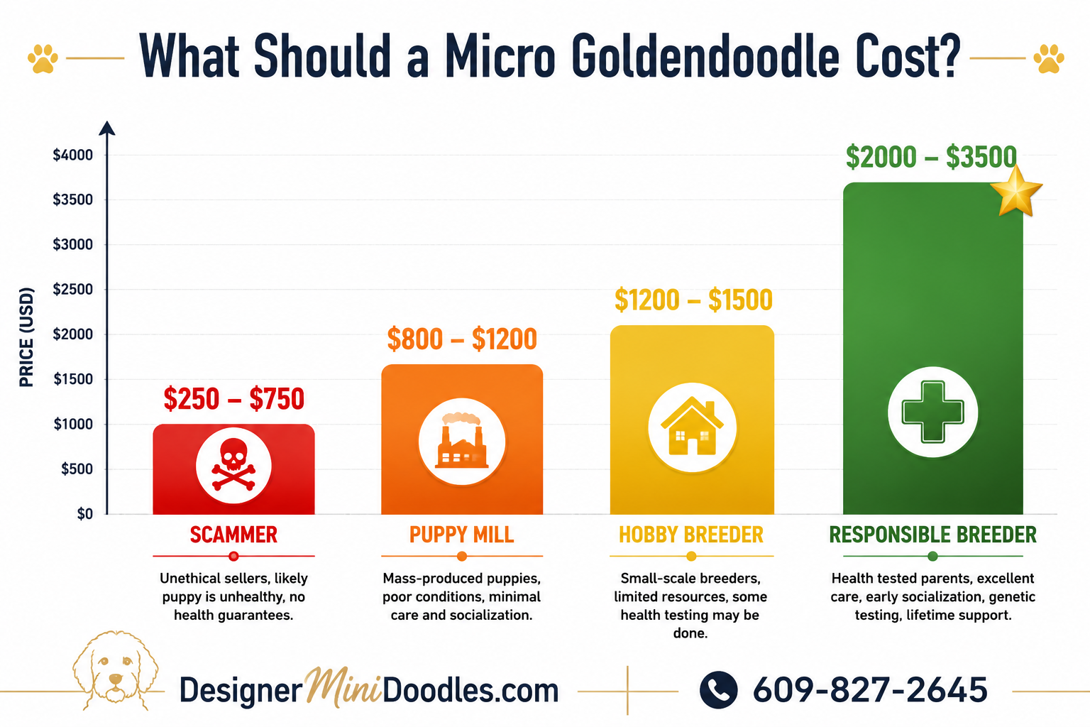 Micro goldendoodle price