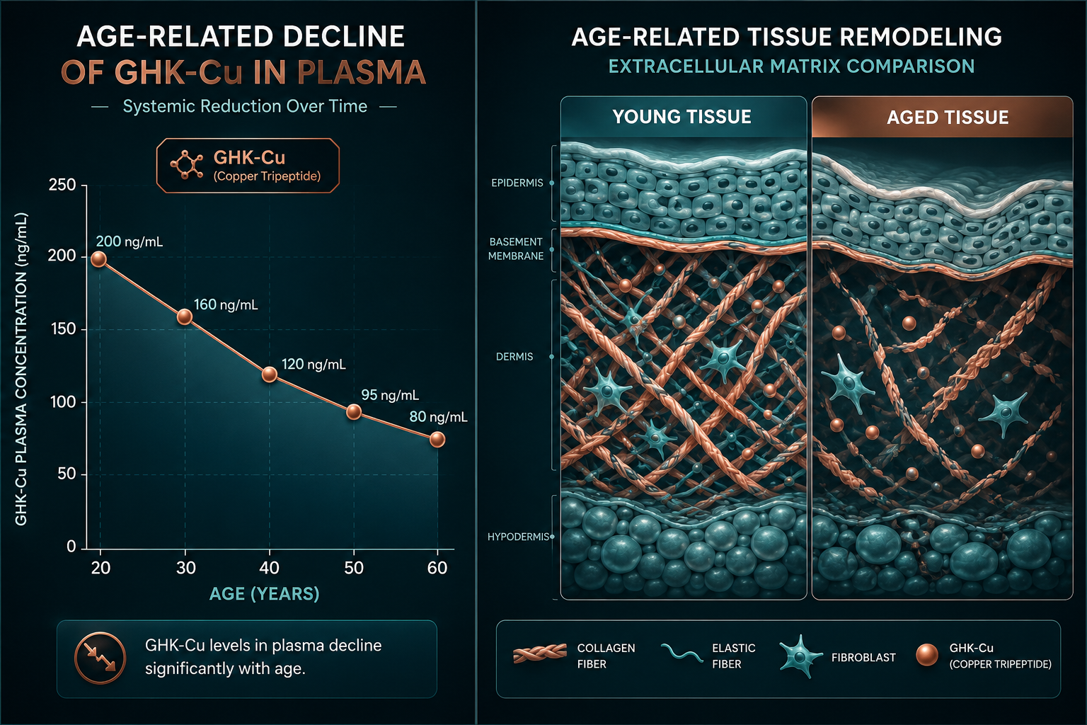 Age-Related Decline and Research Implications