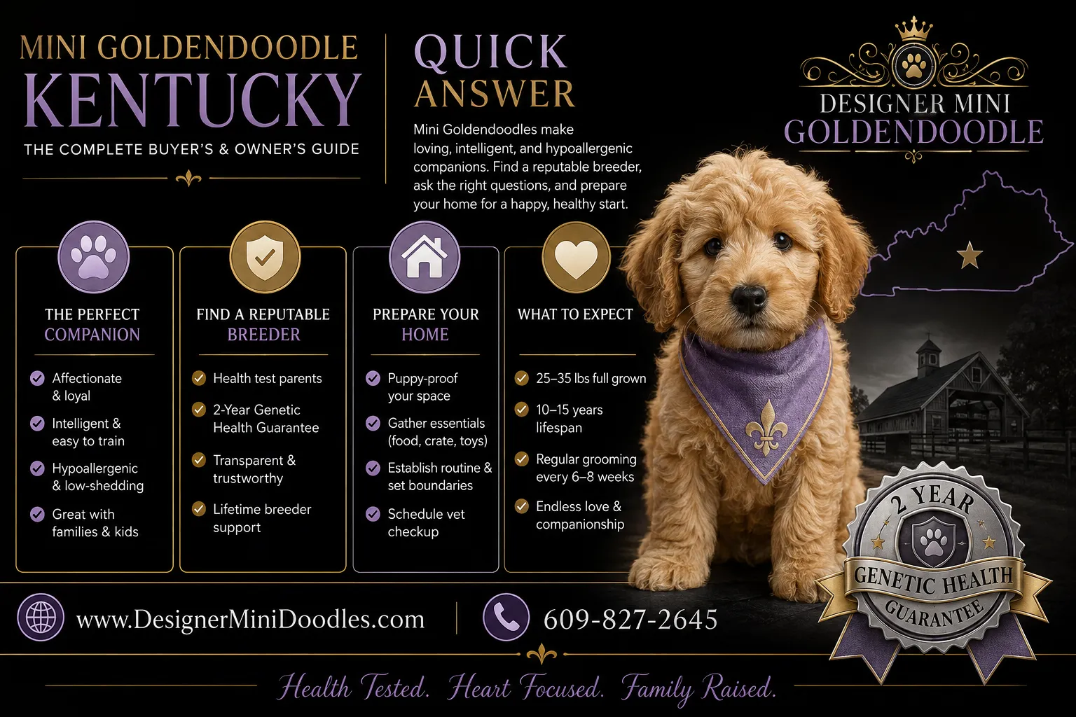 mini goldendoodle Kentucky