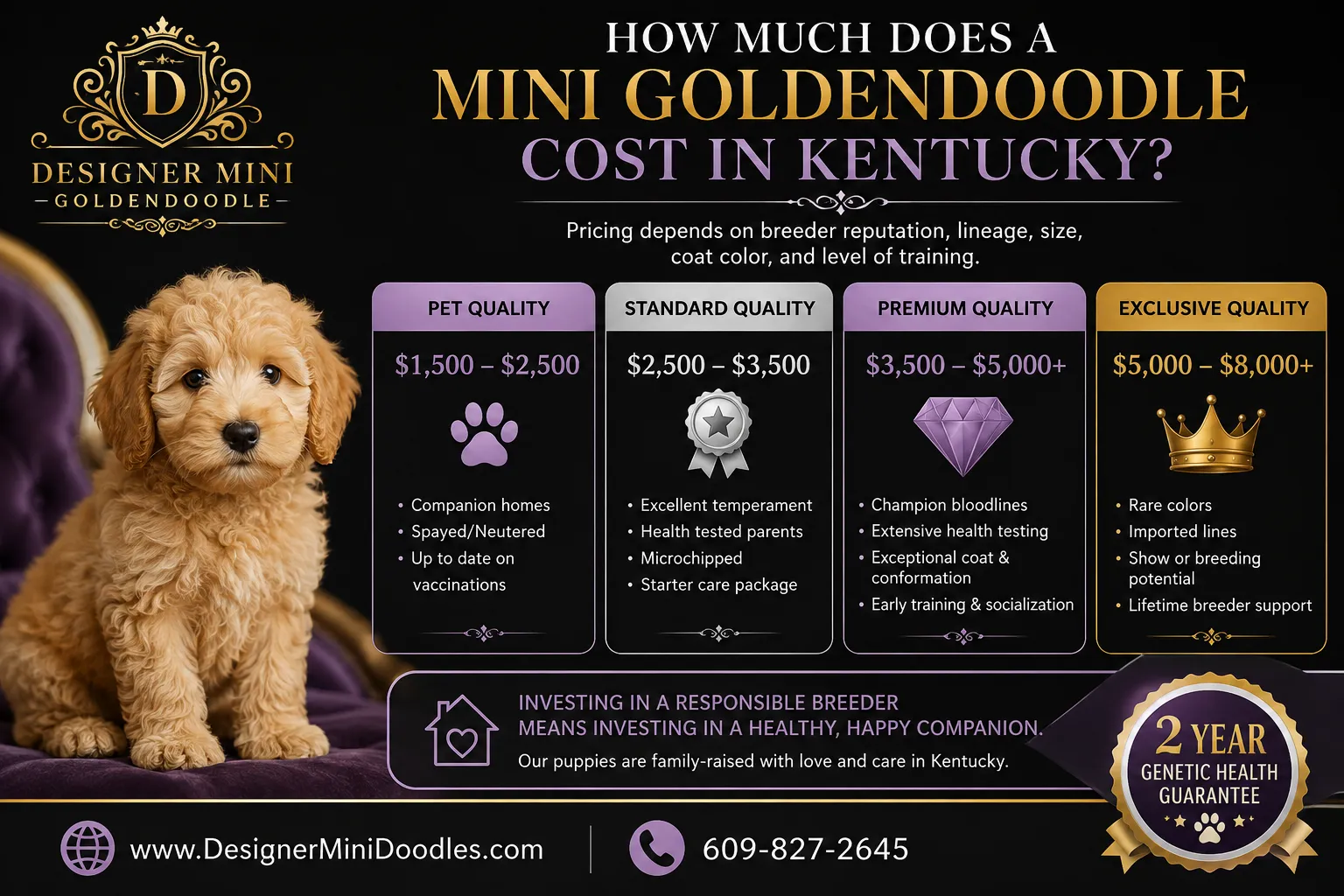 Are mini goldendoodles good for apartments, and what about Kentucky's climate?