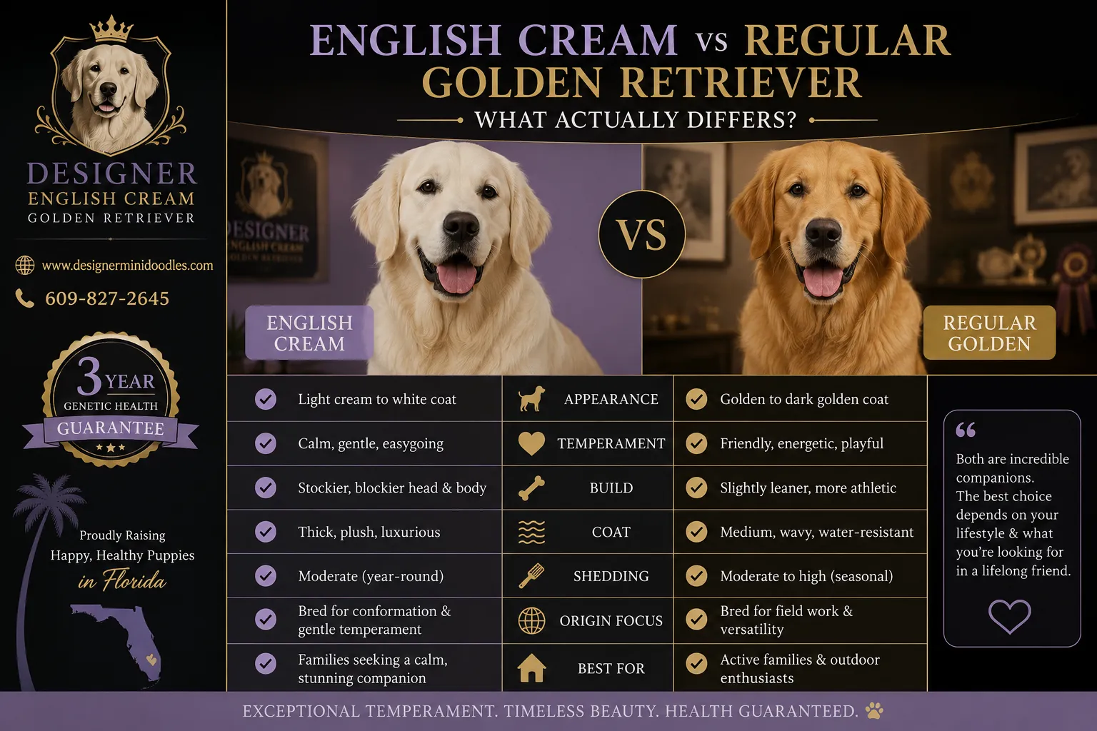 english cream golden retriever puppies in Florida