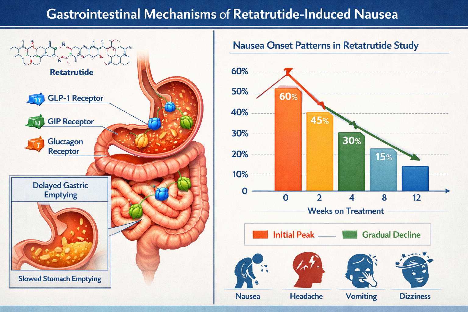 Retatrutide Nausea Remedies