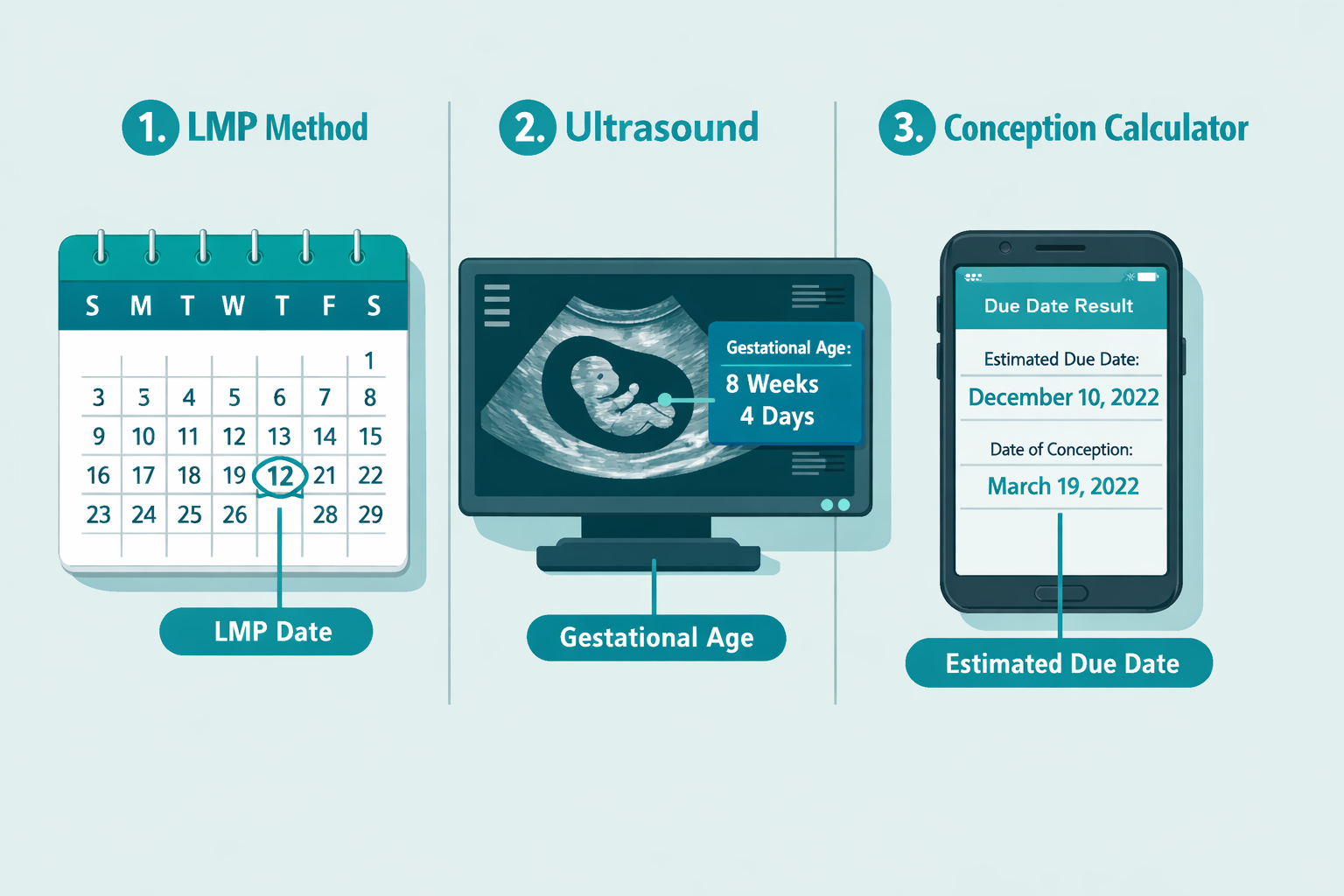 () step-by-step visual showing three calculation methods side by side: a calendar with LMP date circled, an ultrasound