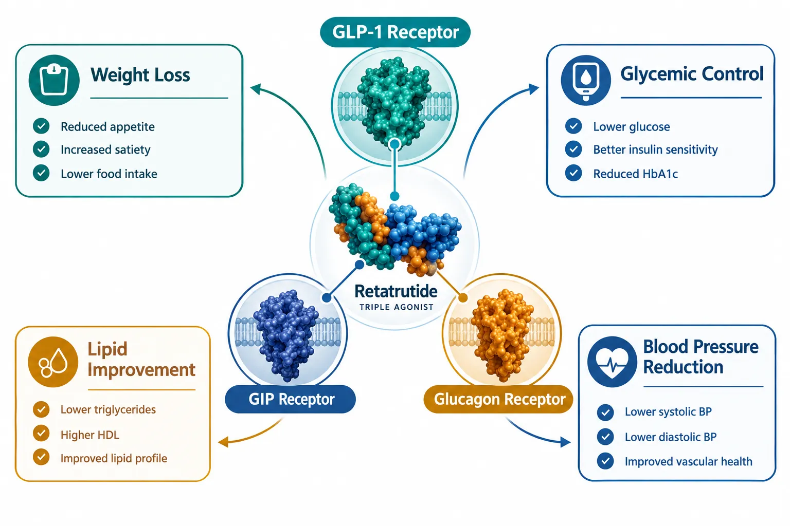 How the Triple-Agonist Mechanism Changes the Baseline Interpretation