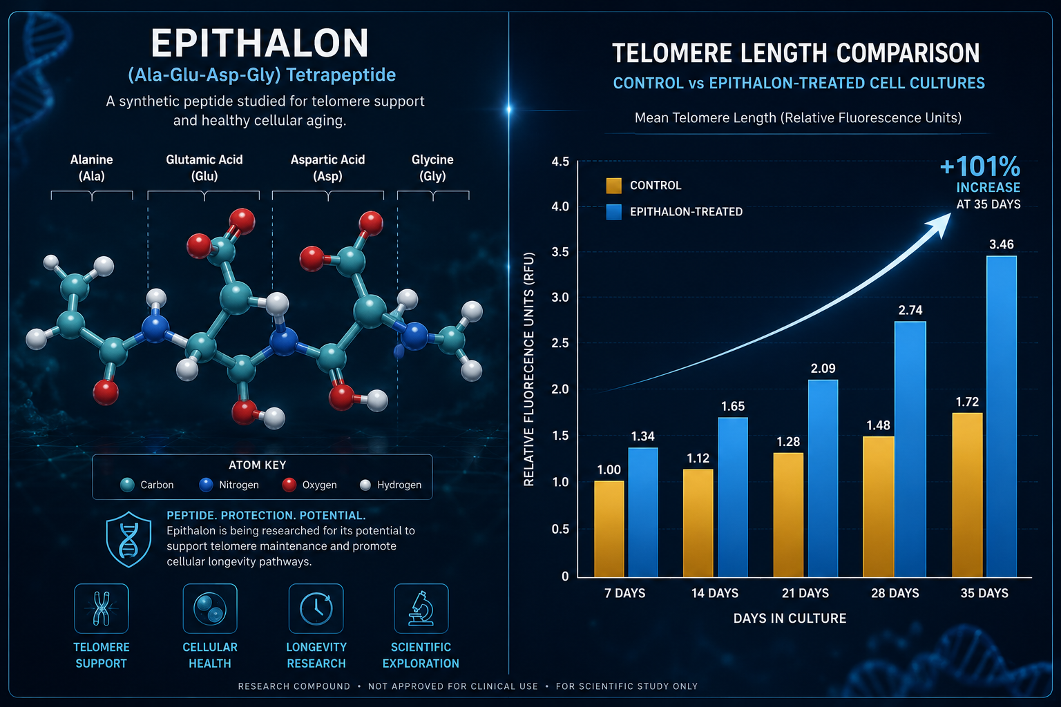 How Epithalon Targets Telomerase: The Molecular Mechanism