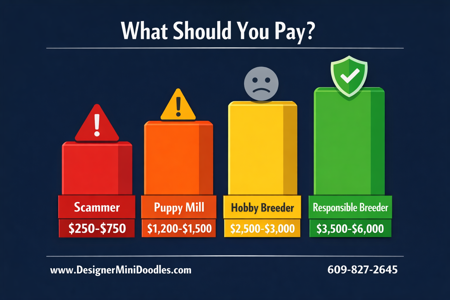 () creative price comparison bar graph infographic showing bernedoodle puppy pricing tiers. Four vertical bars in ascending