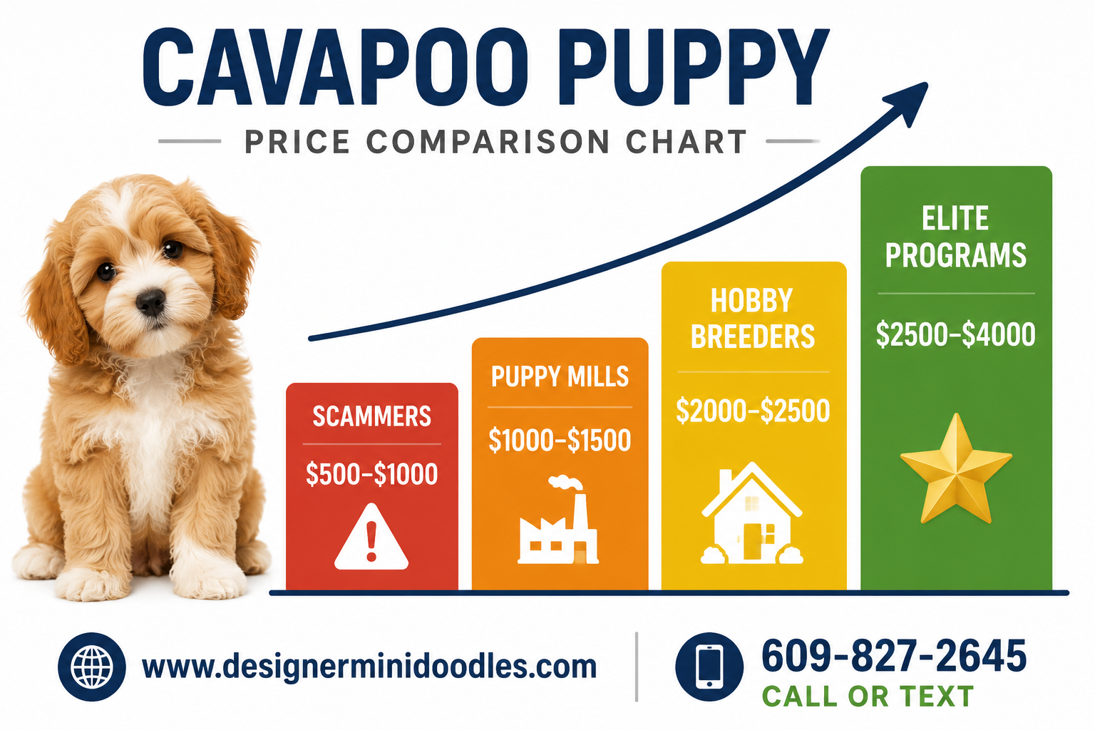 () infographic-style image showing a Cavapoo puppy price comparison chart with four tiers displayed as ascending colored