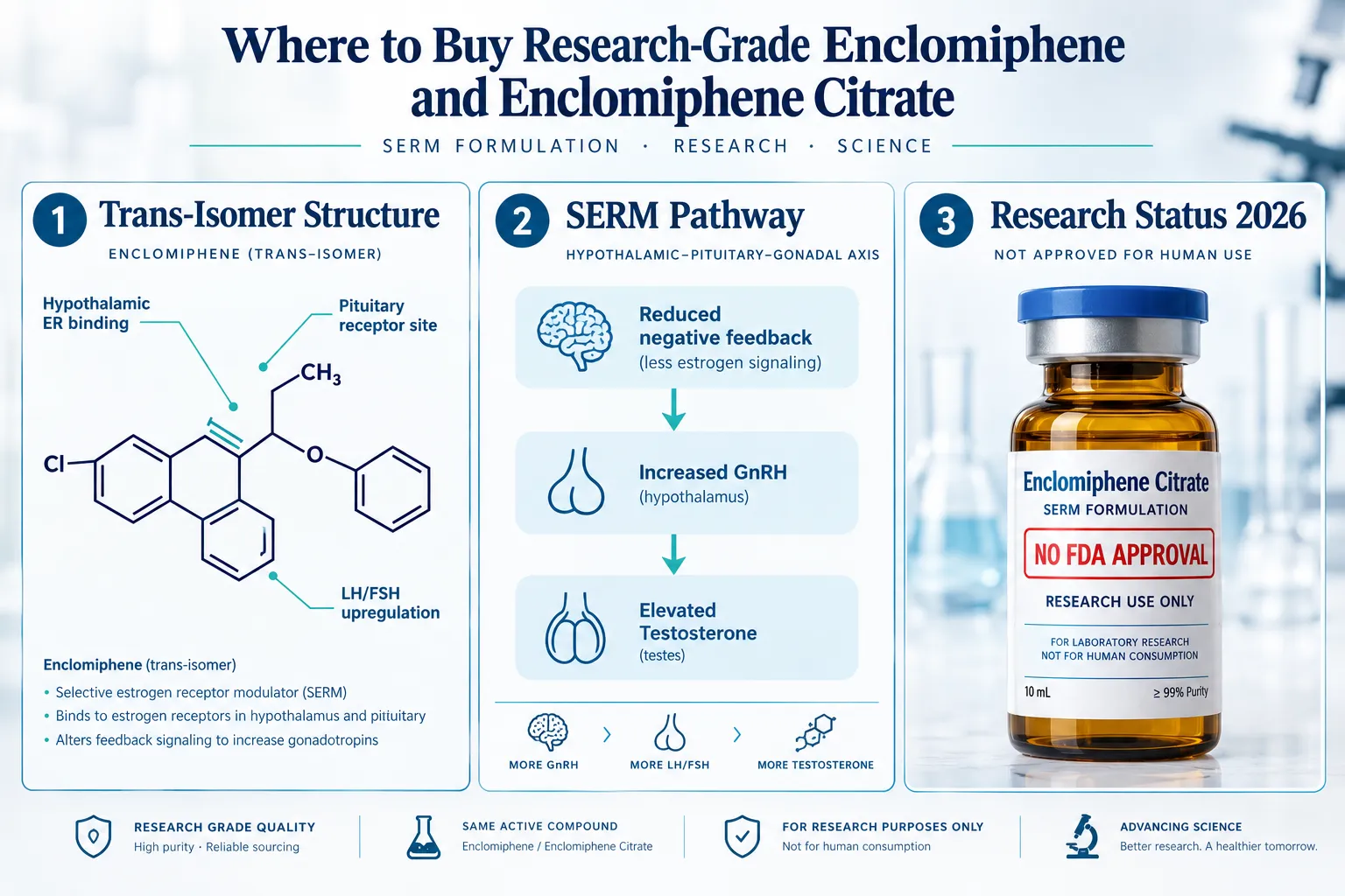 Understanding Enclomiphene and Enclomiphene Citrate as Research serms