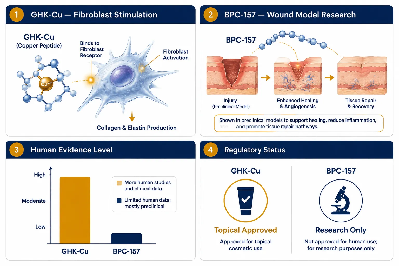GHK-Cu and BPC-157: Comparing Two Regenerative Peptides