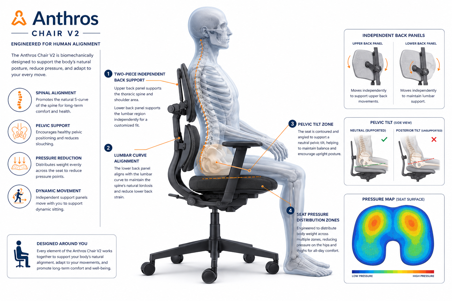 Detailed landscape format (1536x1024) infographic-style illustration showing a side-profile anatomical diagram of a seated human figure in the Anthros Chair V2, with labeled callouts pointing to the two-piece independent back support panels, pelvic tilt zone, lumbar curve alignment, and seat pressure distribution zones. Color scheme: clean white background, navy blue labels, orange accent arrows. Clinical, biomechanical engineering aesthetic, educational diagram style, high resolution.