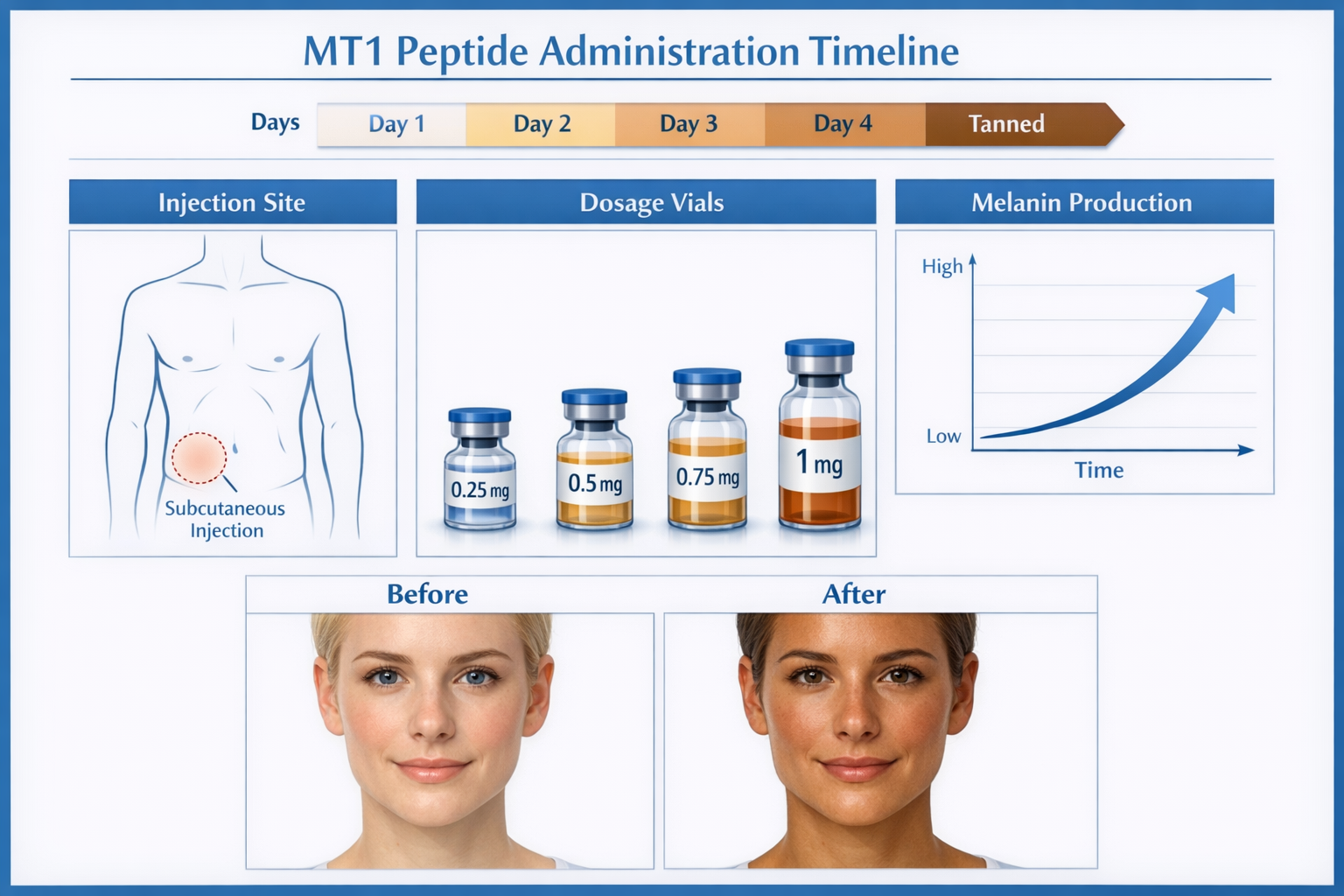 Clinical research visualization showing MT1 peptide administration timeline infographic with days 1-5 marked, skin tone progression chart fr