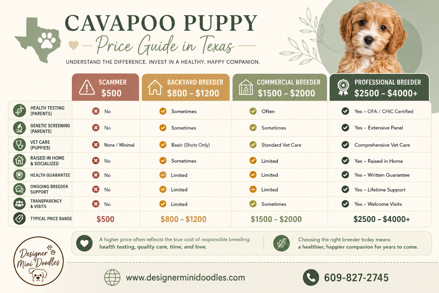 cavapoo puppies San Antonio