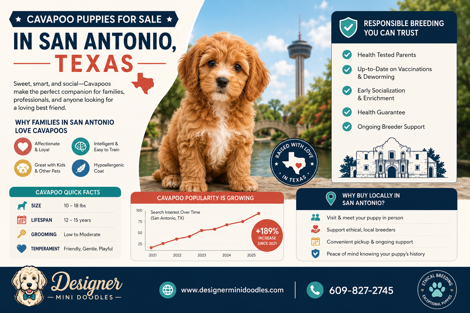 cavapoo puppies San Antonio