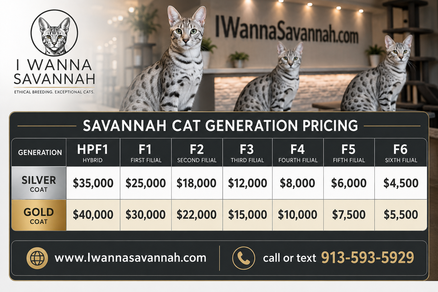 2026 Savannah Cat Price Chart